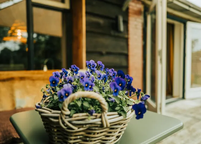 Landelijk Gelegen Appartement Met Eigen Ingang